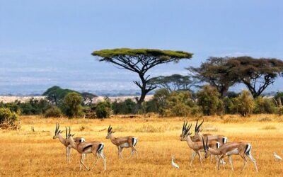 20 Most Underrated Vacation Destinations In Africa