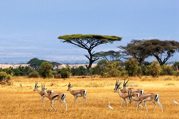 20 Most Underrated Vacation Destinations In Africa